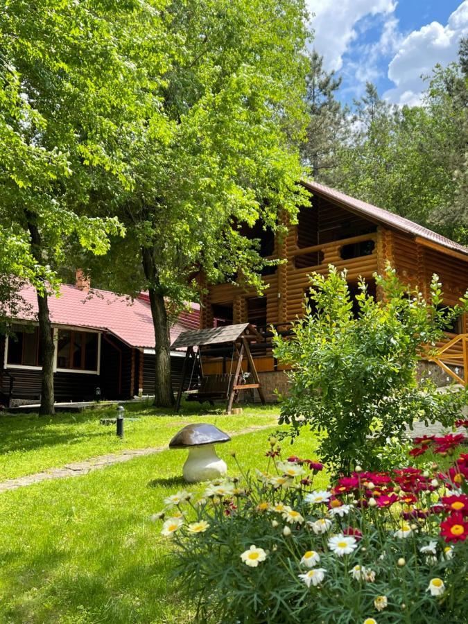 Sky Land Camping & Resort Кишинёв Экстерьер фото