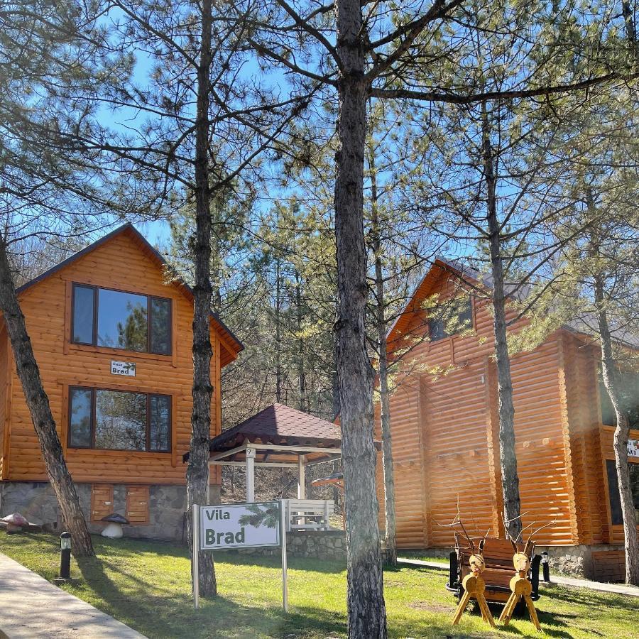 Sky Land Camping & Resort Кишинёв Экстерьер фото