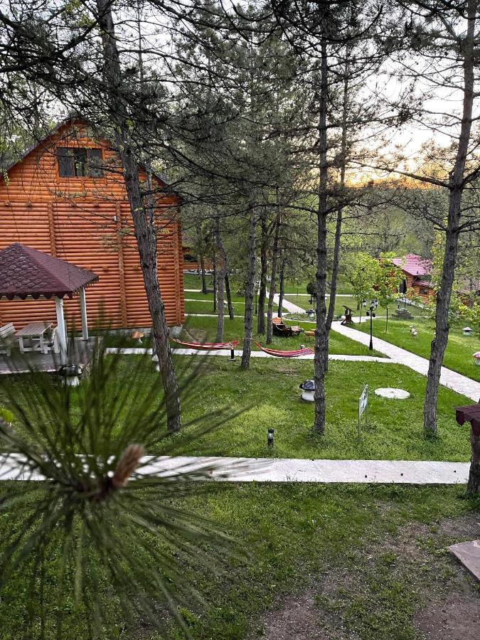 Sky Land Camping & Resort Кишинёв Экстерьер фото